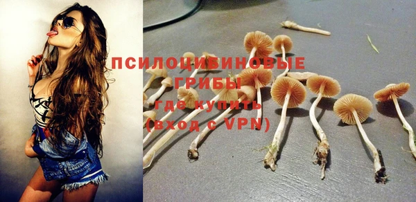 соль ск Архангельск