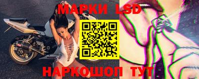 амф Донской