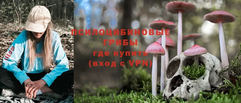 Псилоцибиновые грибы Psilocybe  Орск 