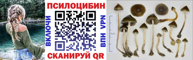Галлюциногенные грибы Magic Shrooms  Орск 