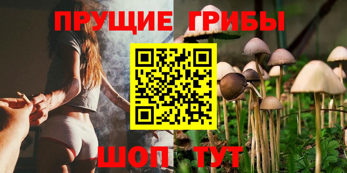 Галлюциногенные грибы мицелий  Орск 