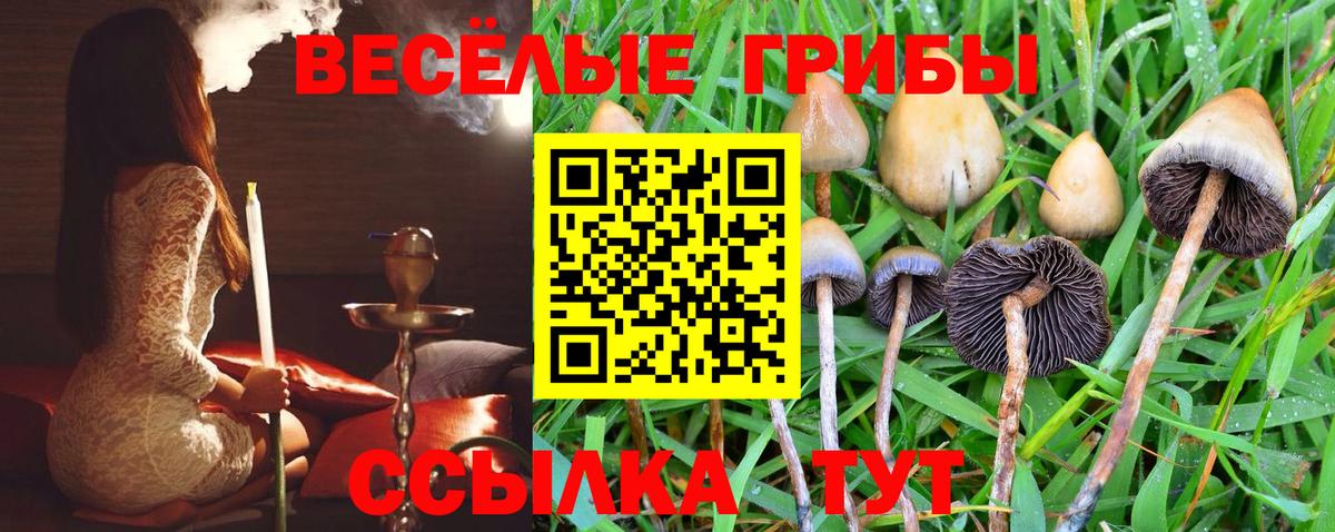 Псилоцибиновые грибы мухоморы  Вход с VPN  Орск 