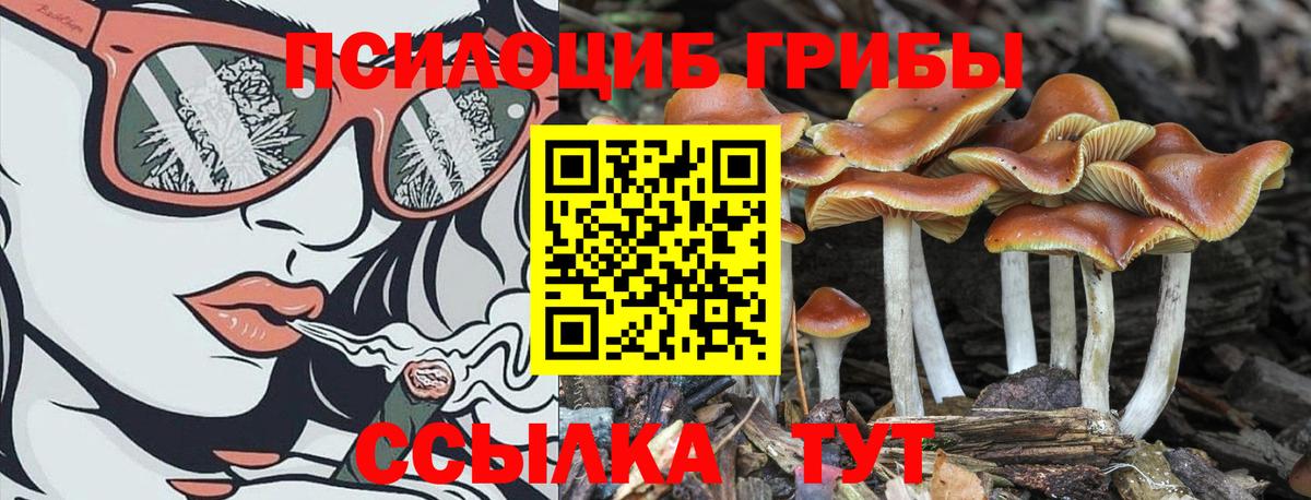 Псилоцибиновые грибы мицелий Орск